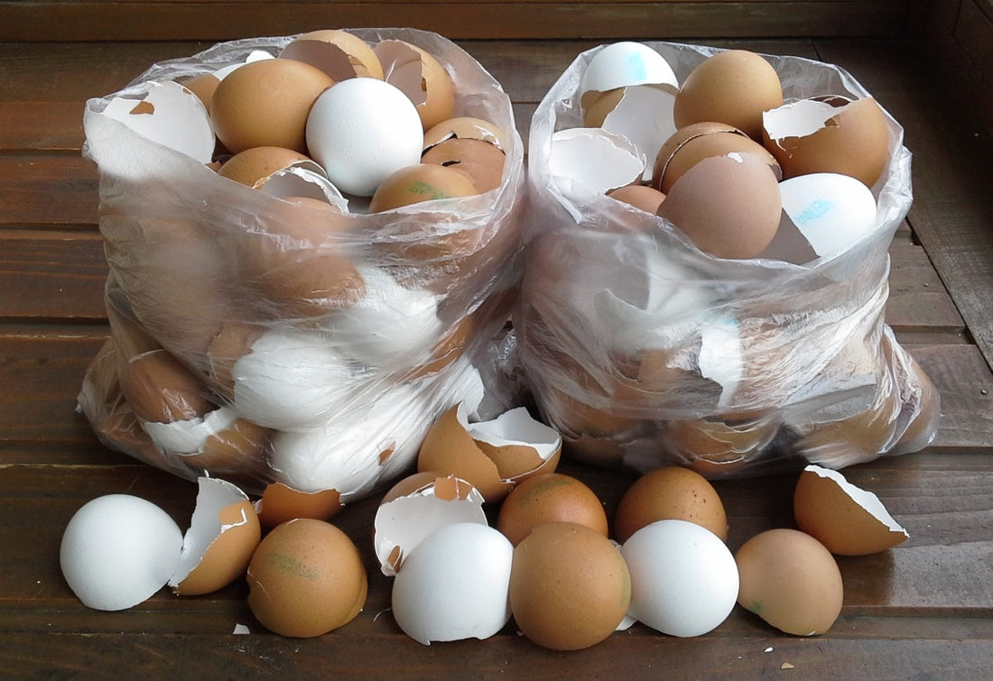 Tojáshéj: A Természetes Hulladék, Amely Kincset Ér a Háztartásban