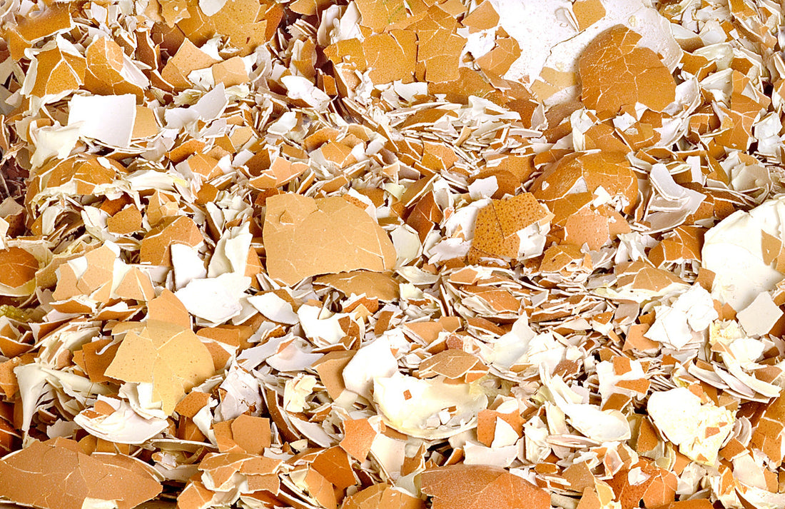 A Tojáshéj: Több, Mint Konyhai Hulladék – Természetes Erőforrás a Háztartásban és Kertben